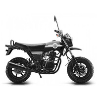 LIFAN LF100-C 2023-